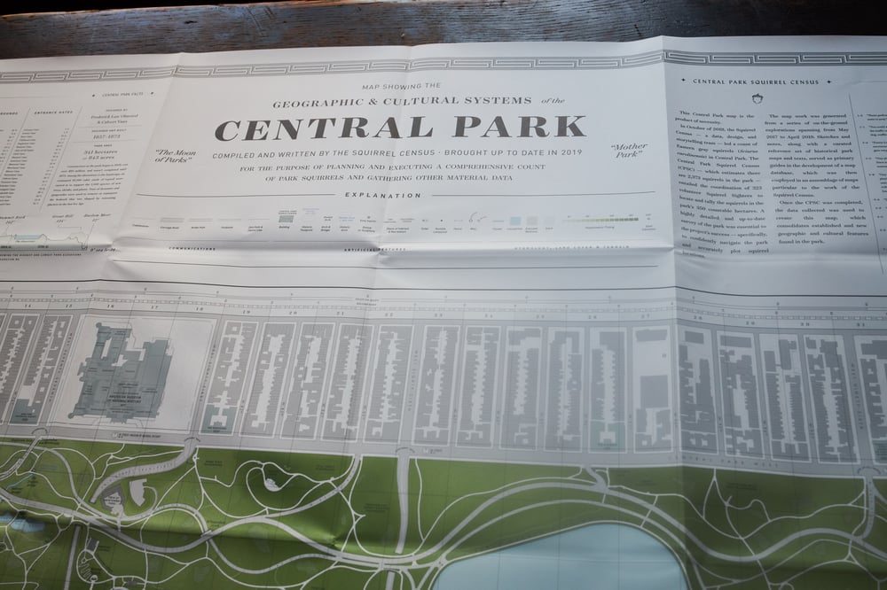 Image of Central Park Squirrel Census 'Terrestrial' Map