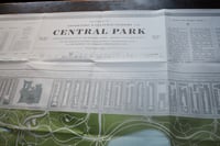 Image 2 of Central Park Squirrel Census 'Terrestrial' Map