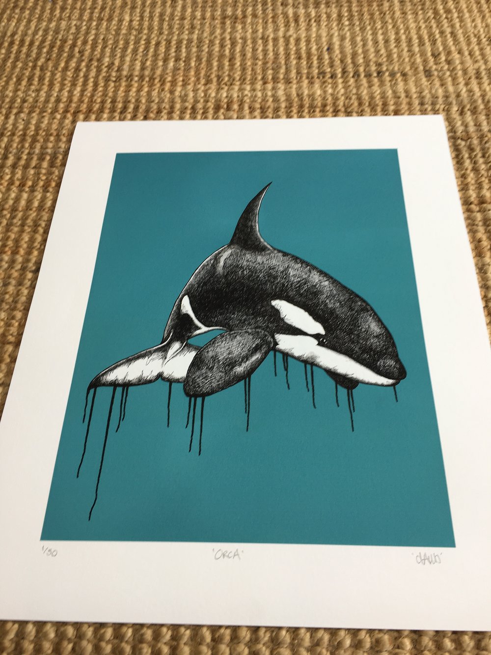 Orca