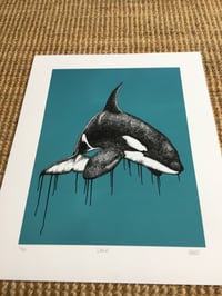 Image 2 of Orca