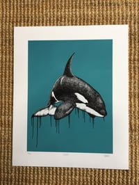 Image 3 of Orca