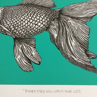 Image 4 of ‘Fishes eyes will watch your lies’