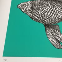 Image 3 of ‘Fishes eyes will watch your lies’