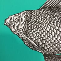 Image 5 of ‘Fishes eyes will watch your lies’