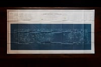 Image 1 of Central Park Squirrel Census 'Celestial' Map