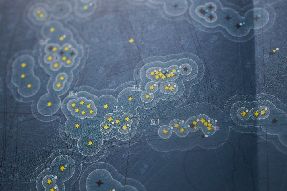 Image of Central Park Squirrel Census 'Celestial' Map