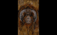 ORANGUTAN - PRINT