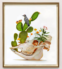 Drought / Cactus Flower