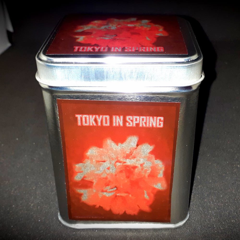 Image of Tokyo in Spring
