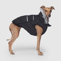 Image 1 of Everest Explorer Vest black - Canada Pooch