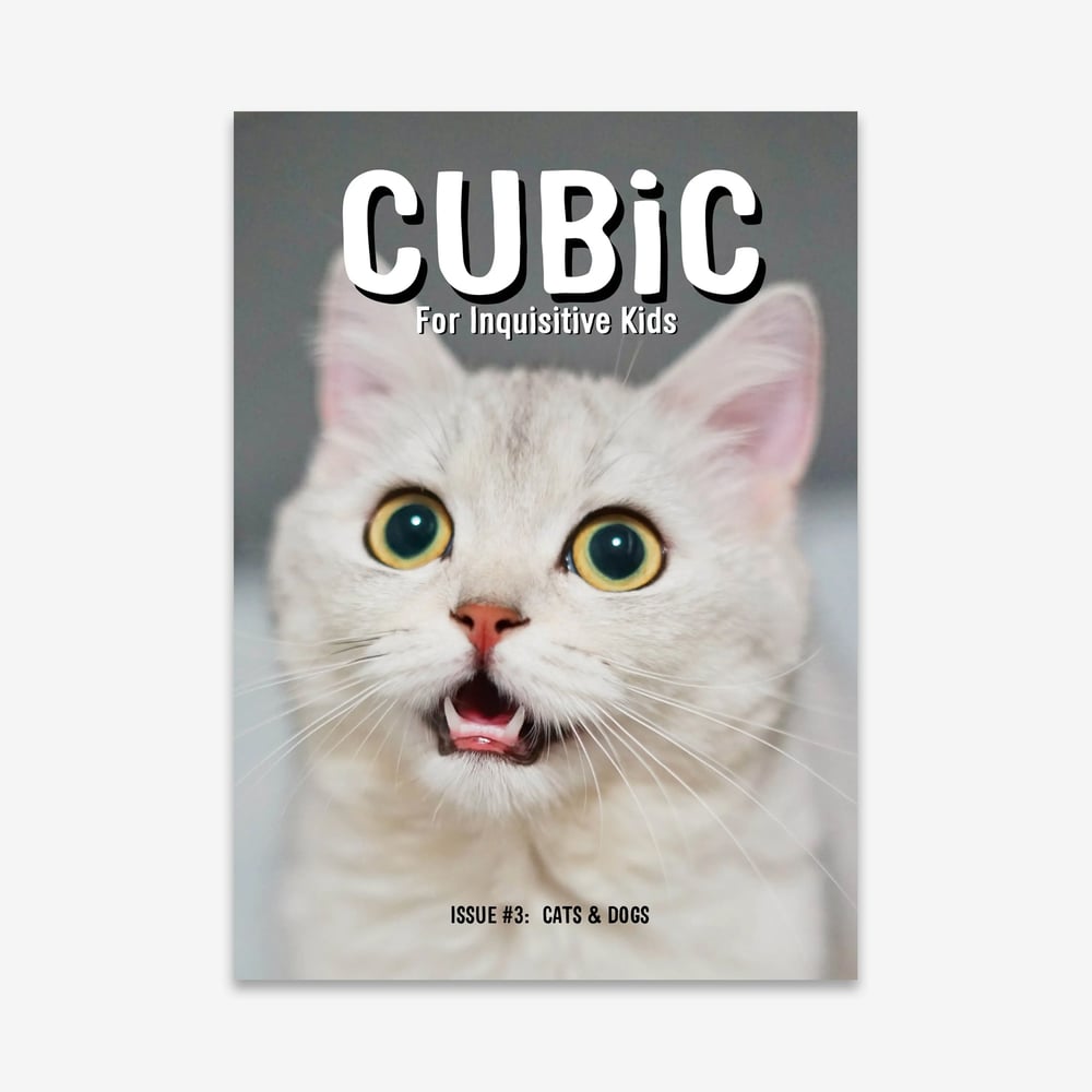 Image of Cubic – Issue 3 (Cats & Dogs)