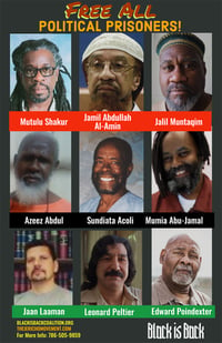 Poster: Free All Political Prisoners