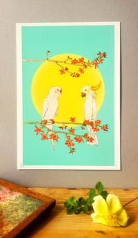 Image 2 of COCKATOO & PARAKEET SITTING ON A TREE - LIMITED EDITION- GICLEE PRINT