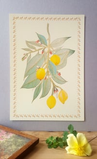 Image 2 of BOTANICAL LEMONS - LIMITED EDITION - GICLEE PRINT