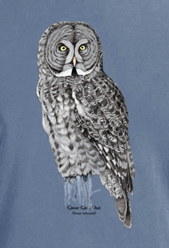 Great Gray Owl dyed long sleeve t-shirt / Coyote Graphics