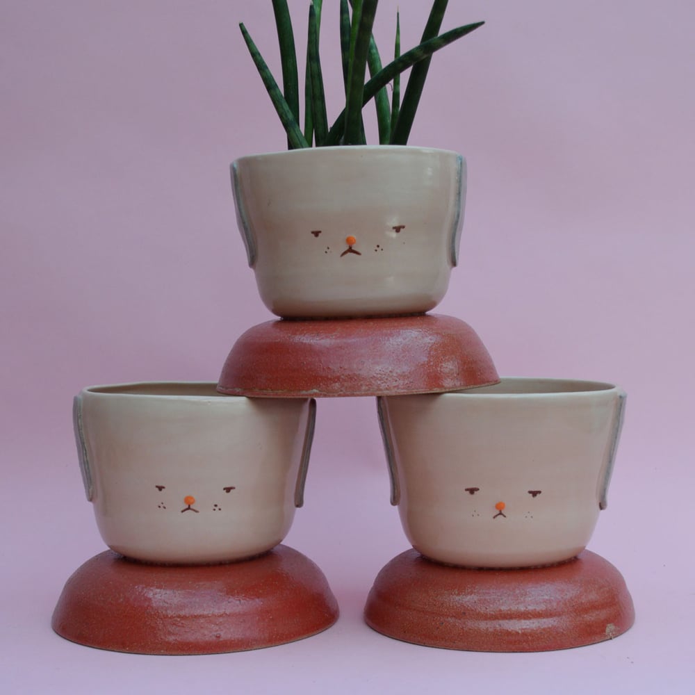 Image of Fufu Medium Planter