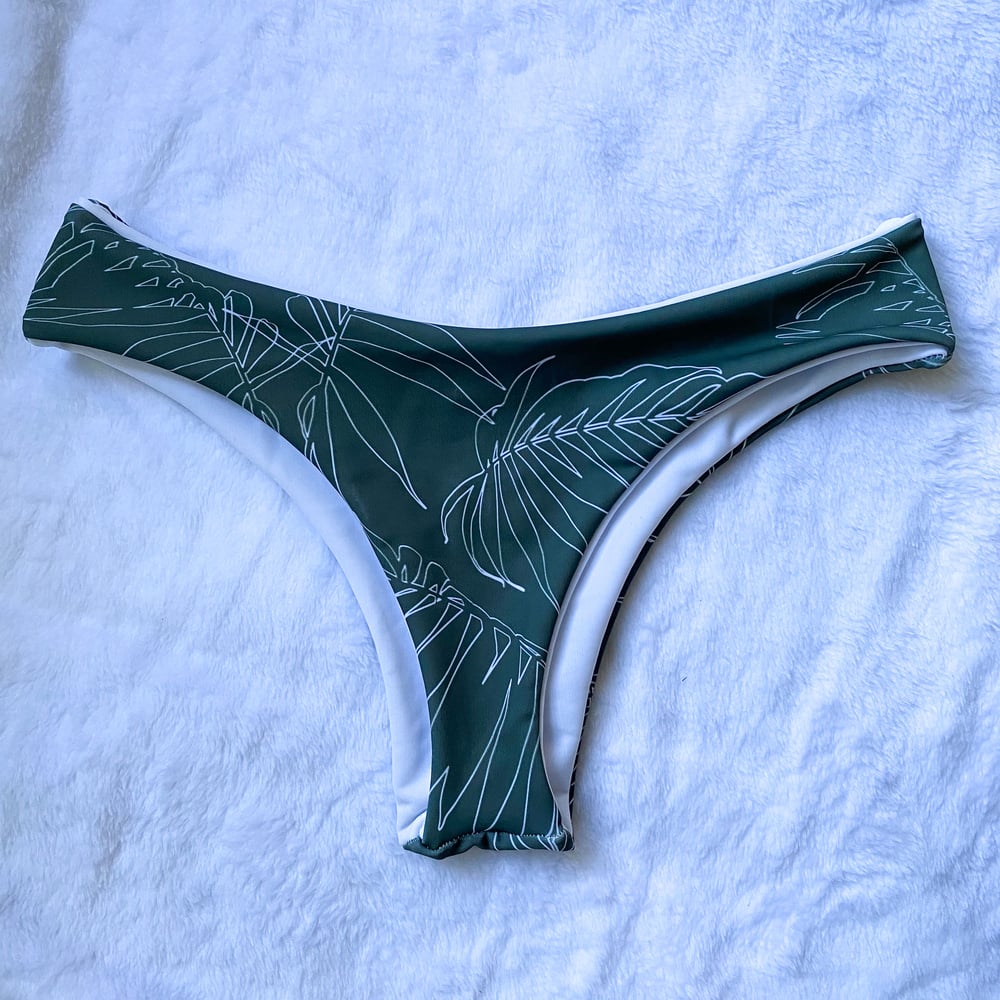 Image of ALLISUN BOTTOMS :  FOREST FERNS 