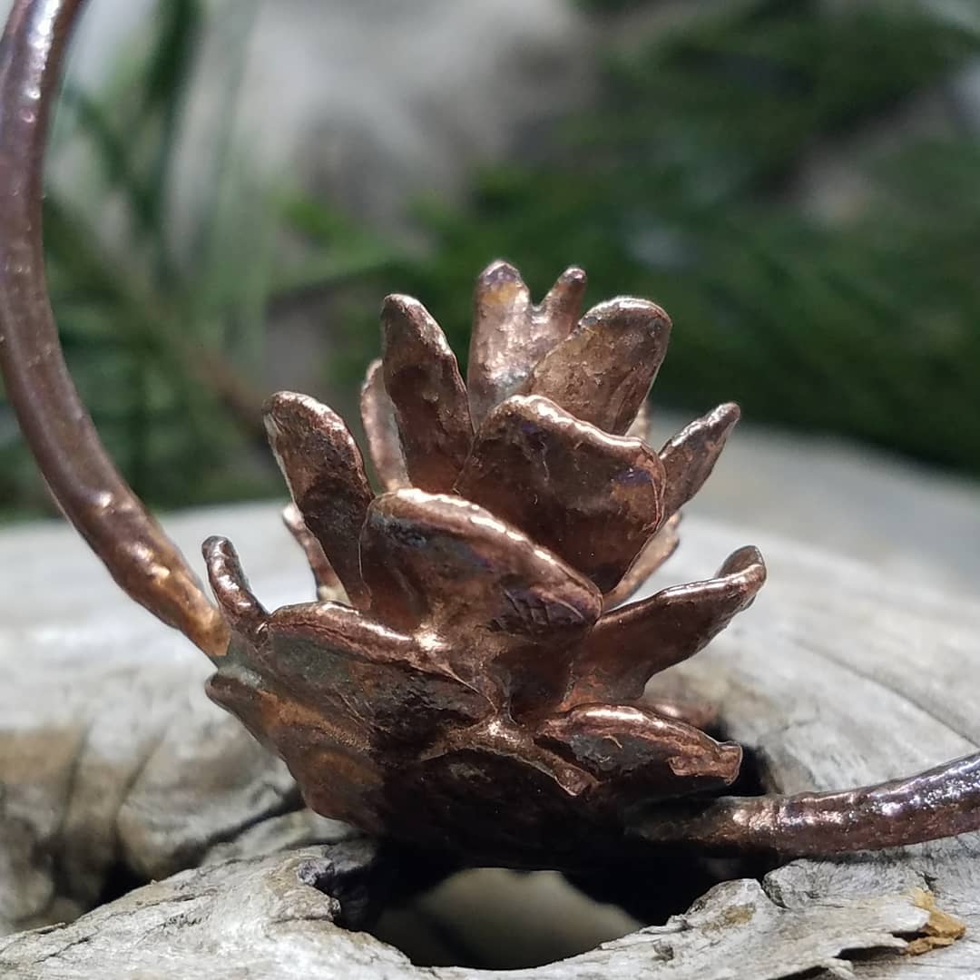 Image of Hemlock Cone