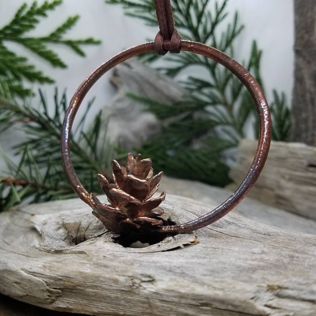 Image of Hemlock Cone