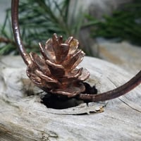 Image 3 of Hemlock Cone