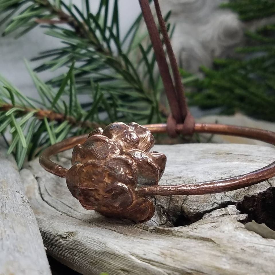 Image of Hemlock Cone