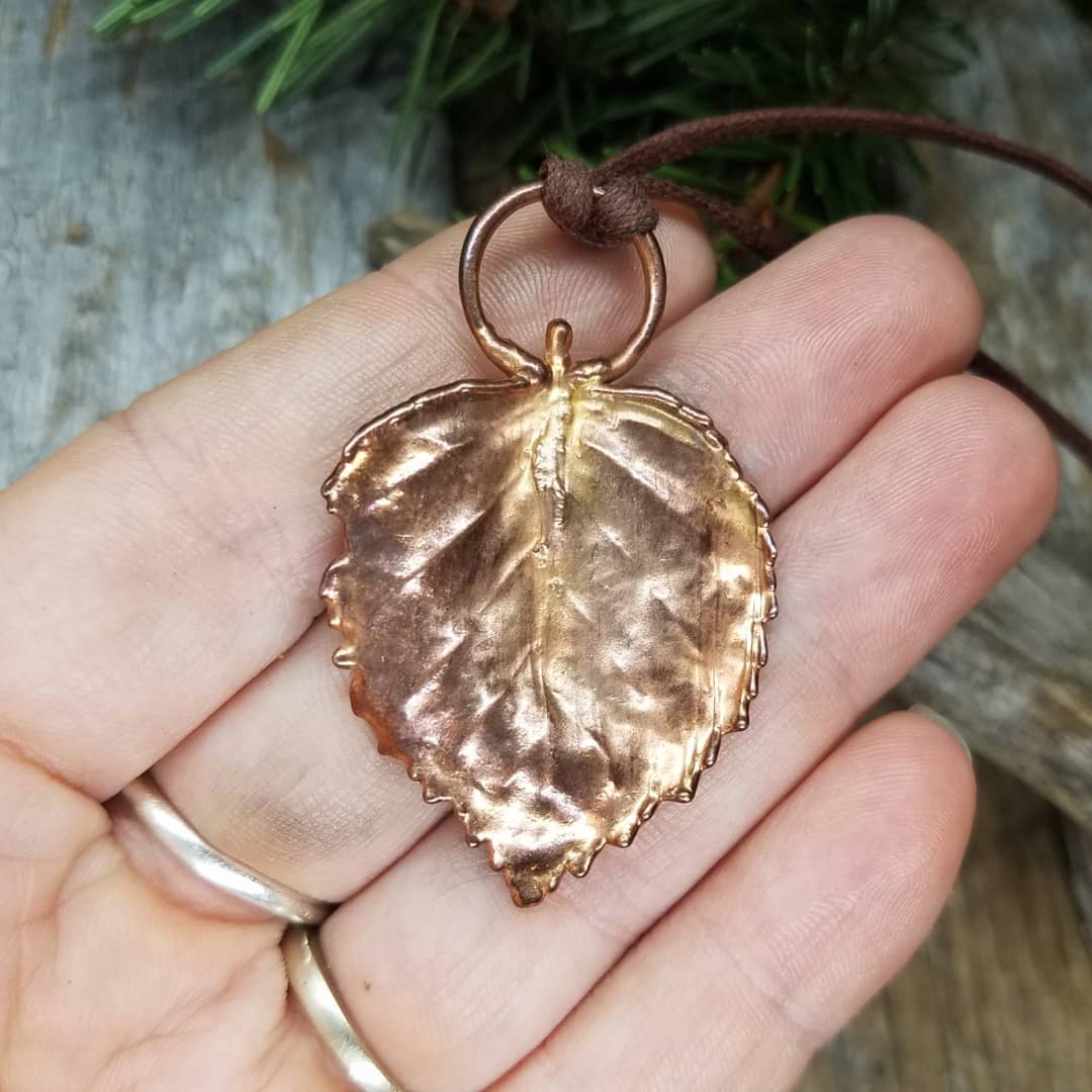 Image of Red Alder Leaf