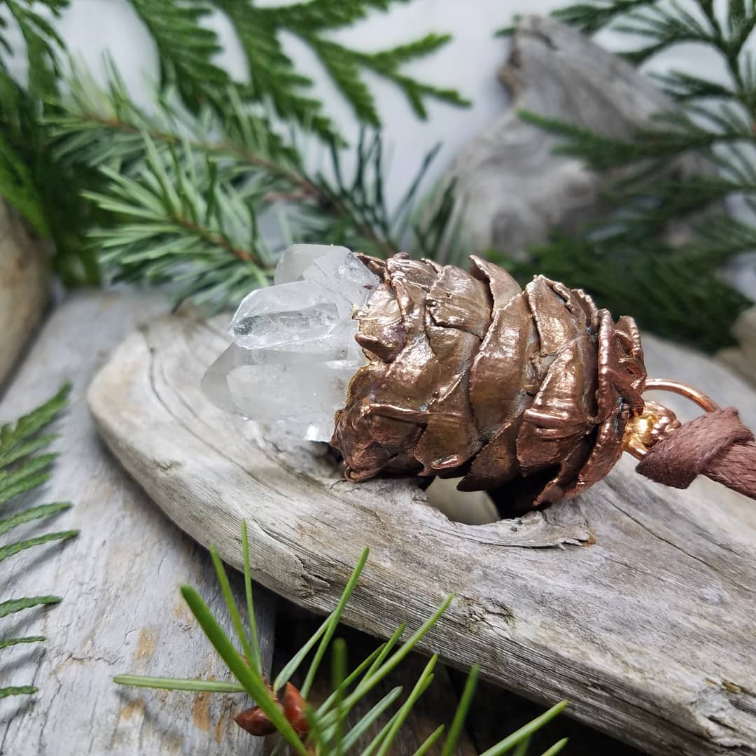Image of Douglas Fir Cone