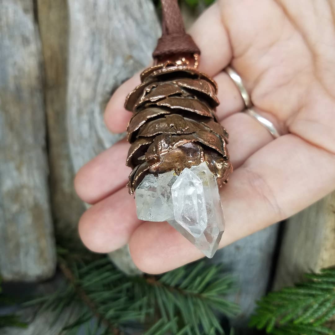 Image of Douglas Fir Cone