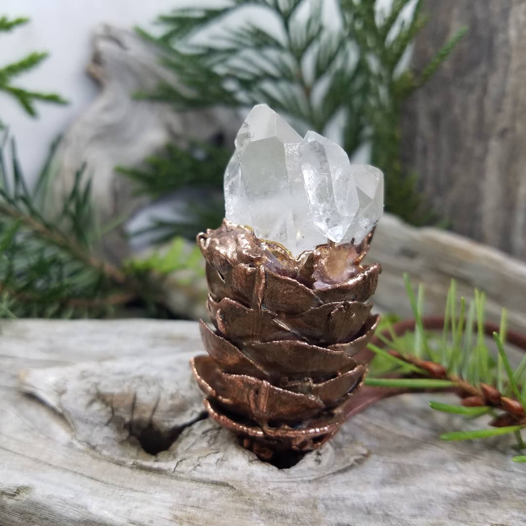 Image of Douglas Fir Cone