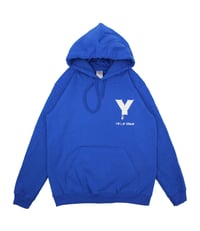 Ylv hoodie