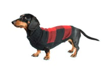 Image 1 of Alpaca Buffalo Plaid Sweater