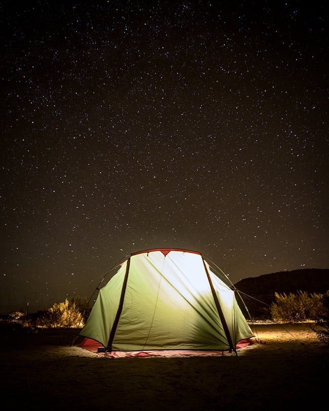 Under the Stars - Canvas Print