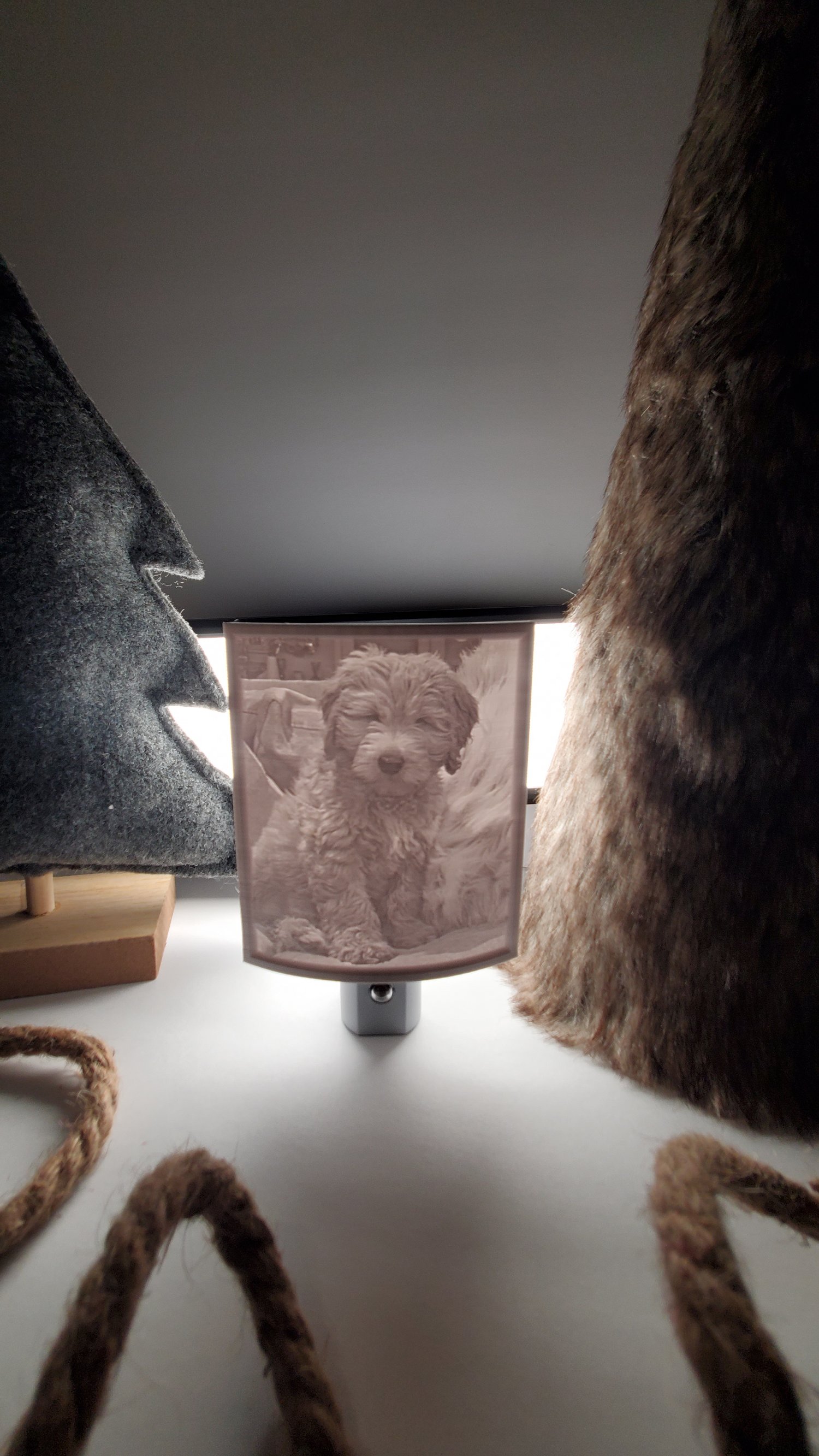 Image of Custom Pet Night Light