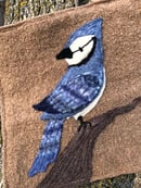 Image 4 of Blue Jay