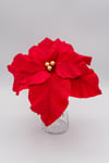 Fiore stella di Natale