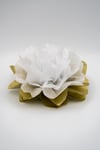 Dalia - Ninfea Natalizia