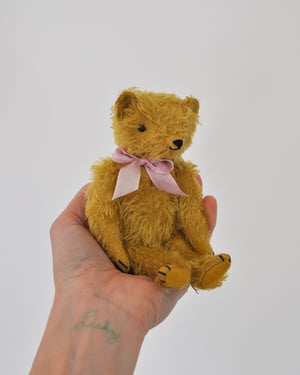Image of old worn bear -Goldie-