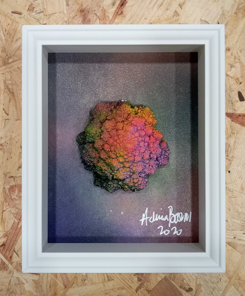 Image of QUANTUM REALM (Deluxe)