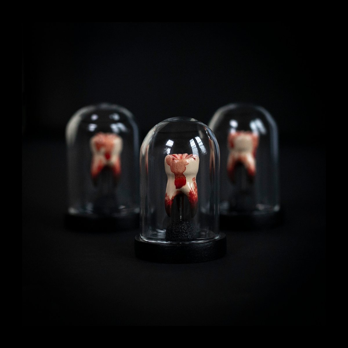 Crimson 3-Root Tooth Sculpture in Glass Dome