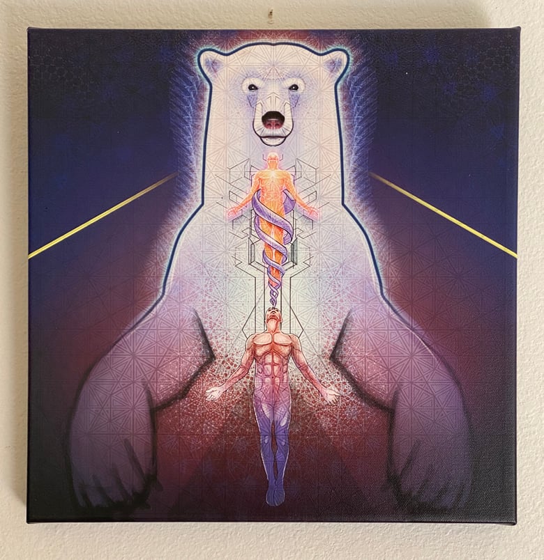 Image of White Bear ‘Liberation’