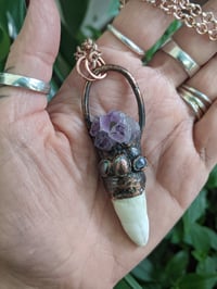 Image 4 of Alligator Tooth And Amethyst Electroformed Talisman 