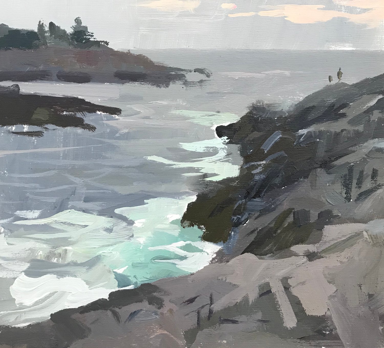 Image of Maine Coast study