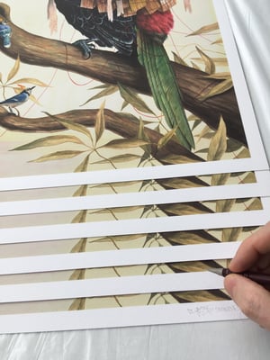 Image of El Gato Chimney - The Counselors