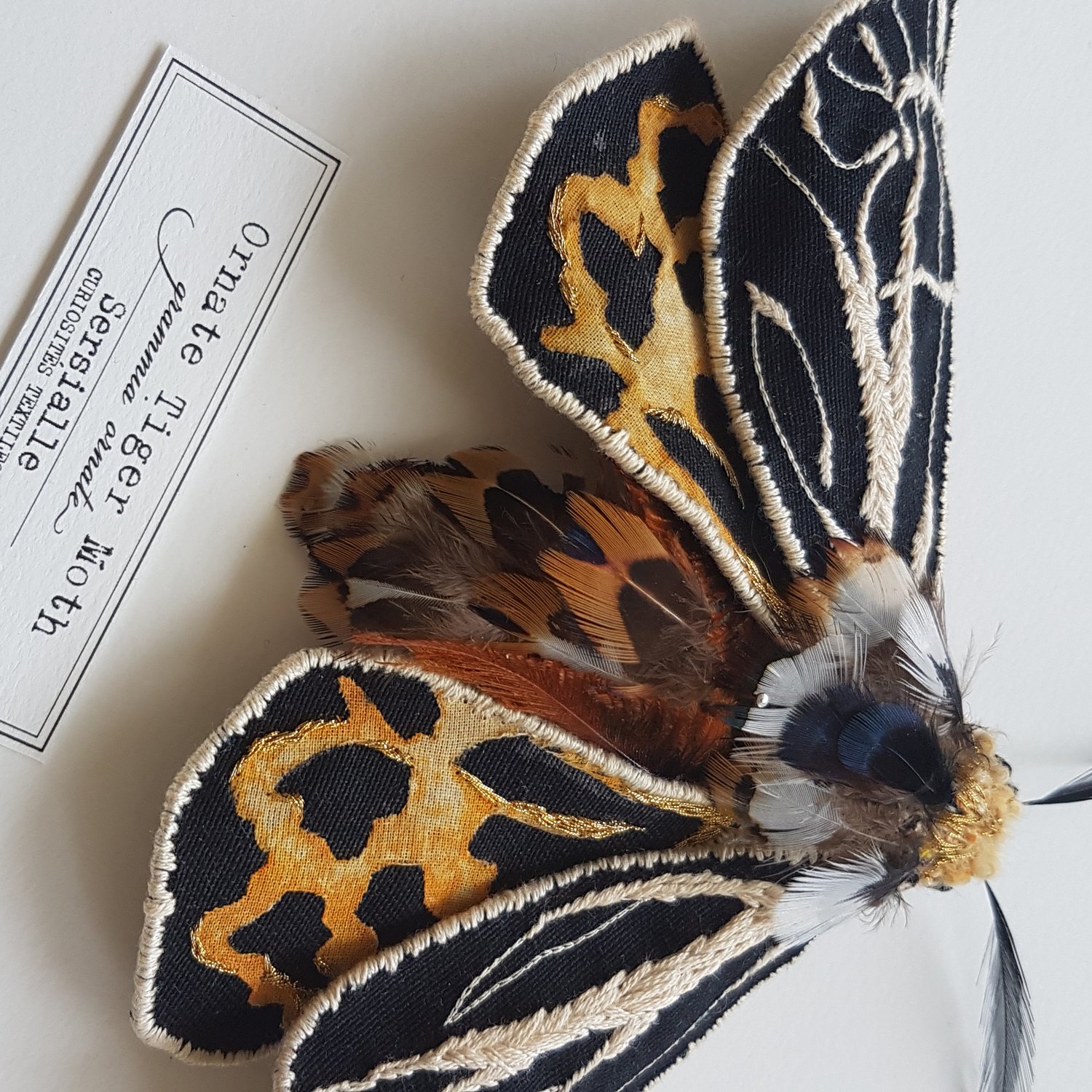 Image of Ornate Tiger Moth