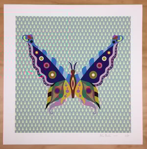 Image of Fulvia Mendini - Farfalla Turchese