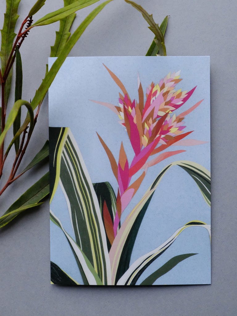 Abstract Jungle Bundle Image 4