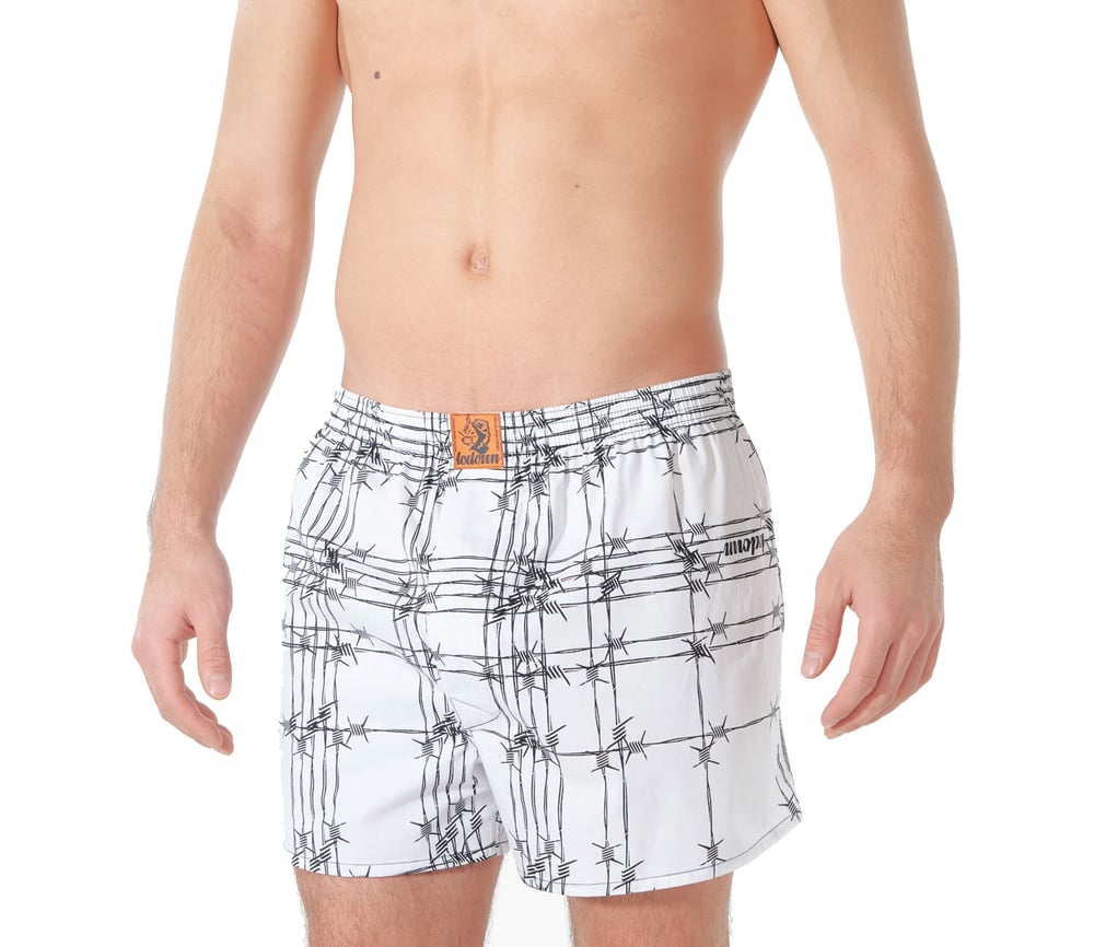 Lodown X Lousy Livin' Boxer