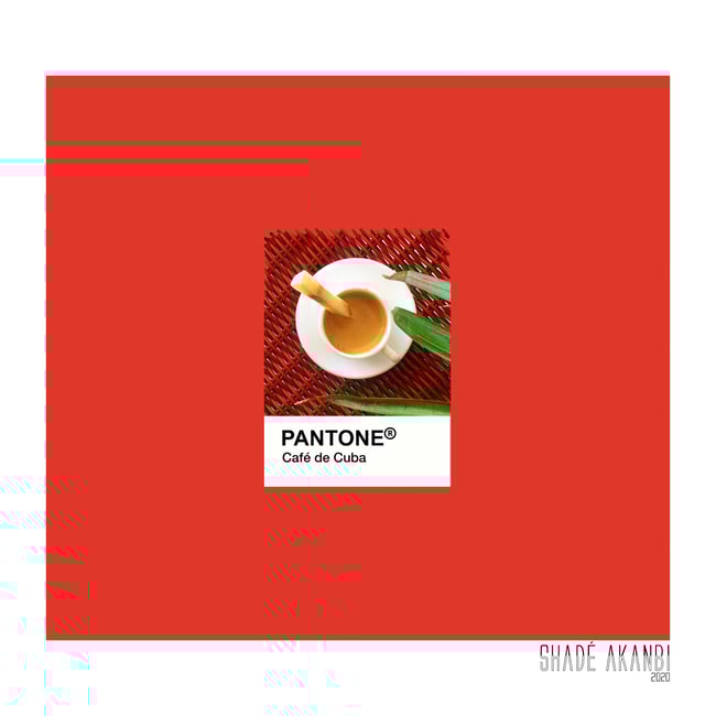 •pantone• of The Dae : cuban coffee