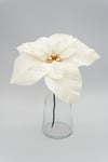 Fiore stella di Natale