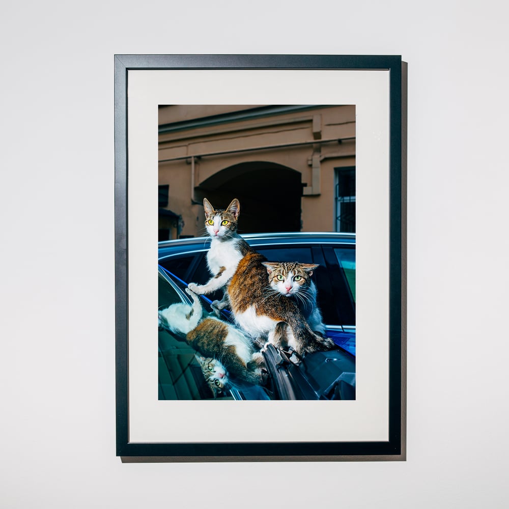 Image of Backyard Diaries Vol.1 Edition Print